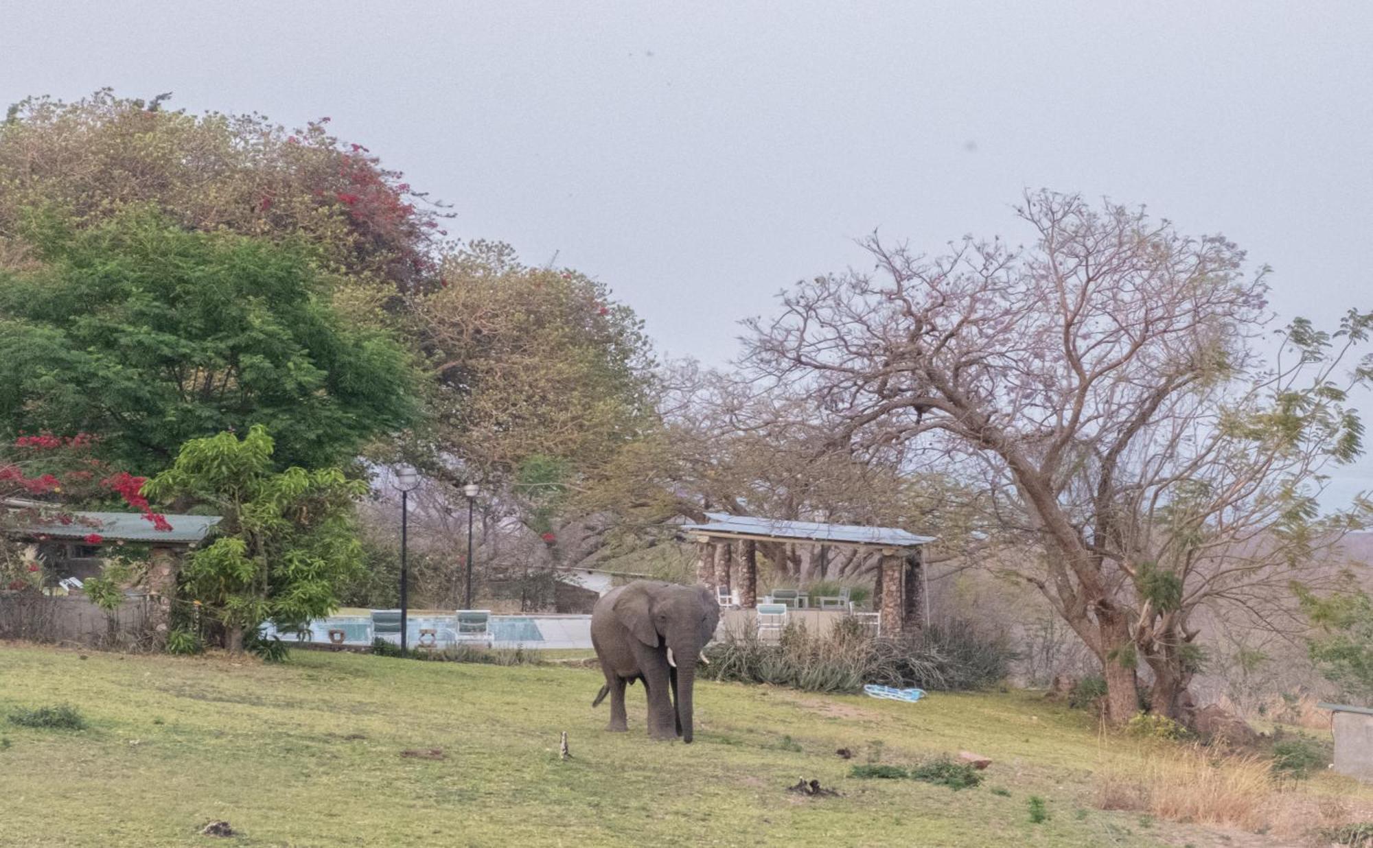 Musungwa Safari Lodge Shanjungu Exteriör bild